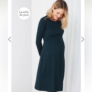 Isabella Oliver Paige Maternity Dress